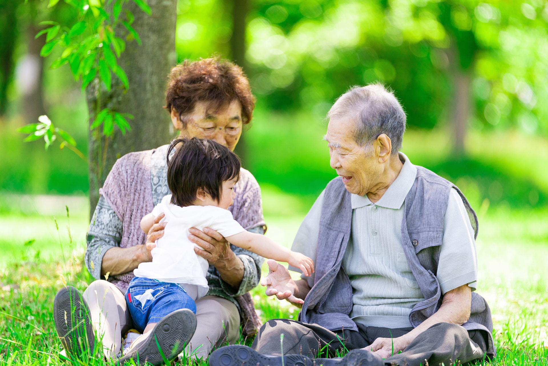 福祉を支える就活総合支援サポート