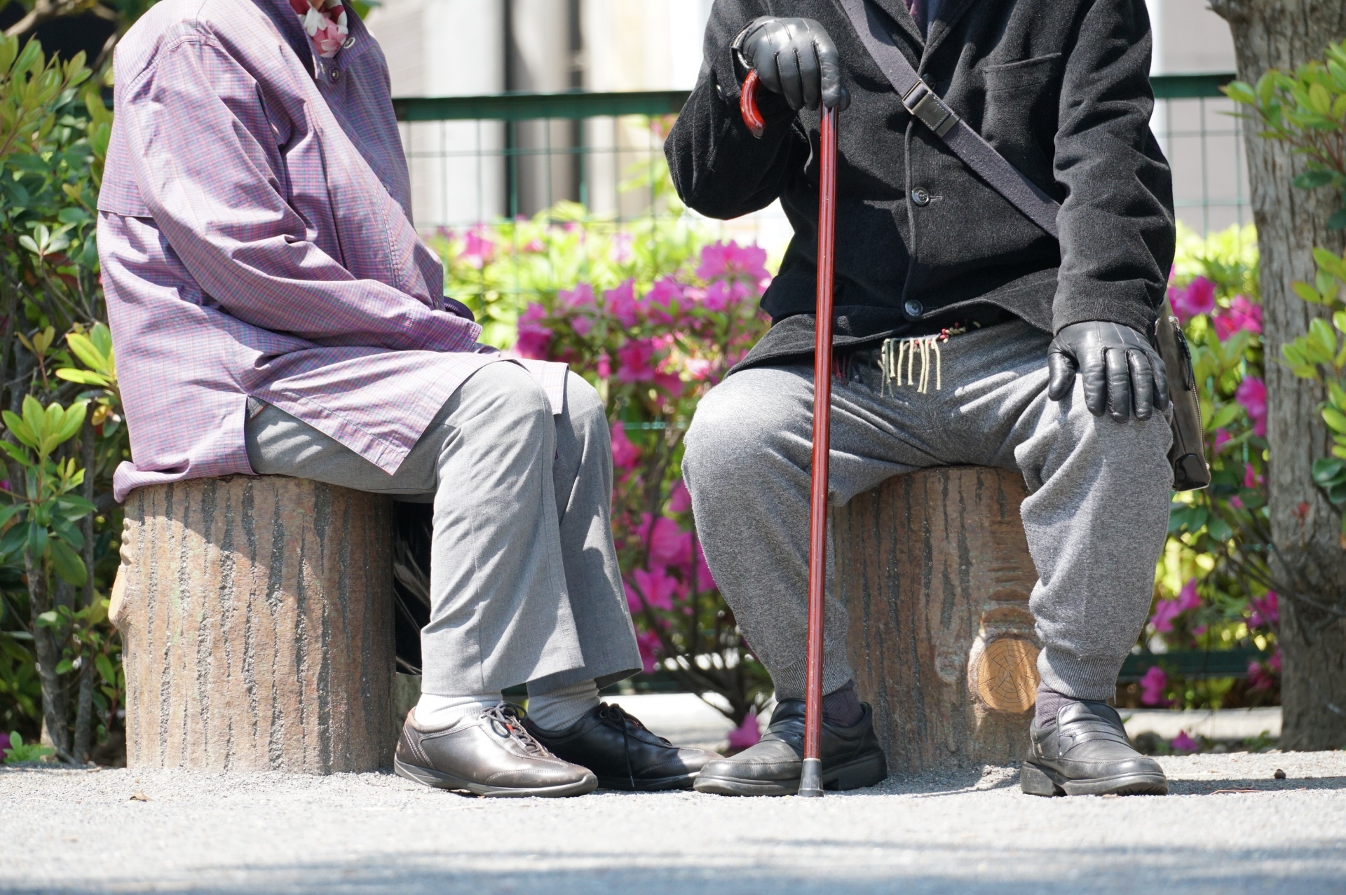 福祉を支える就活総合支援サポート