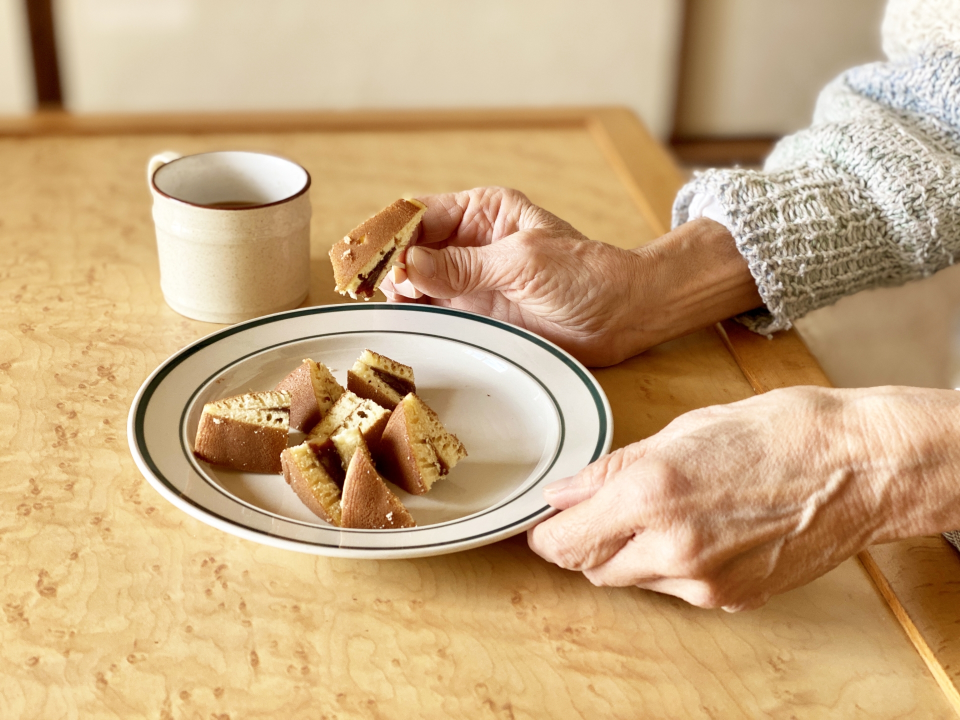 福祉を支える就活総合支援サポート