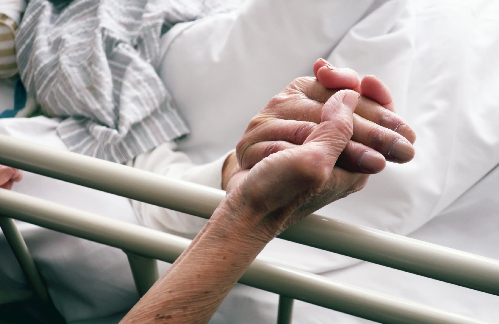 福祉を支える就活総合支援サポート